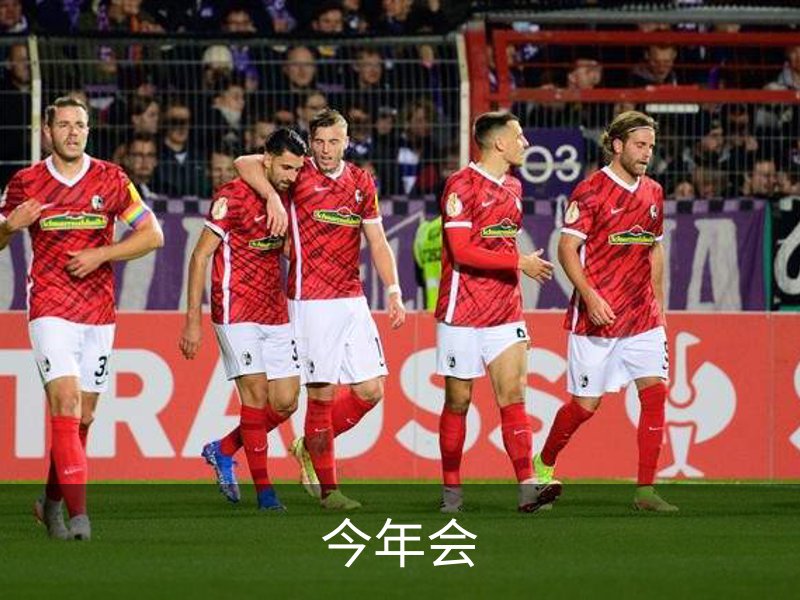 今年会介绍